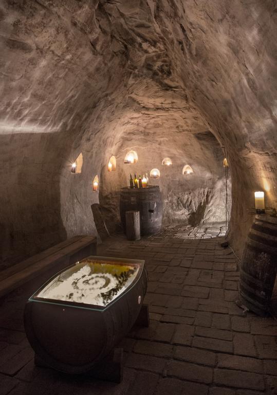 VÁŠ SKLEP - vinný sklep a penzion Znojmo Exterior foto